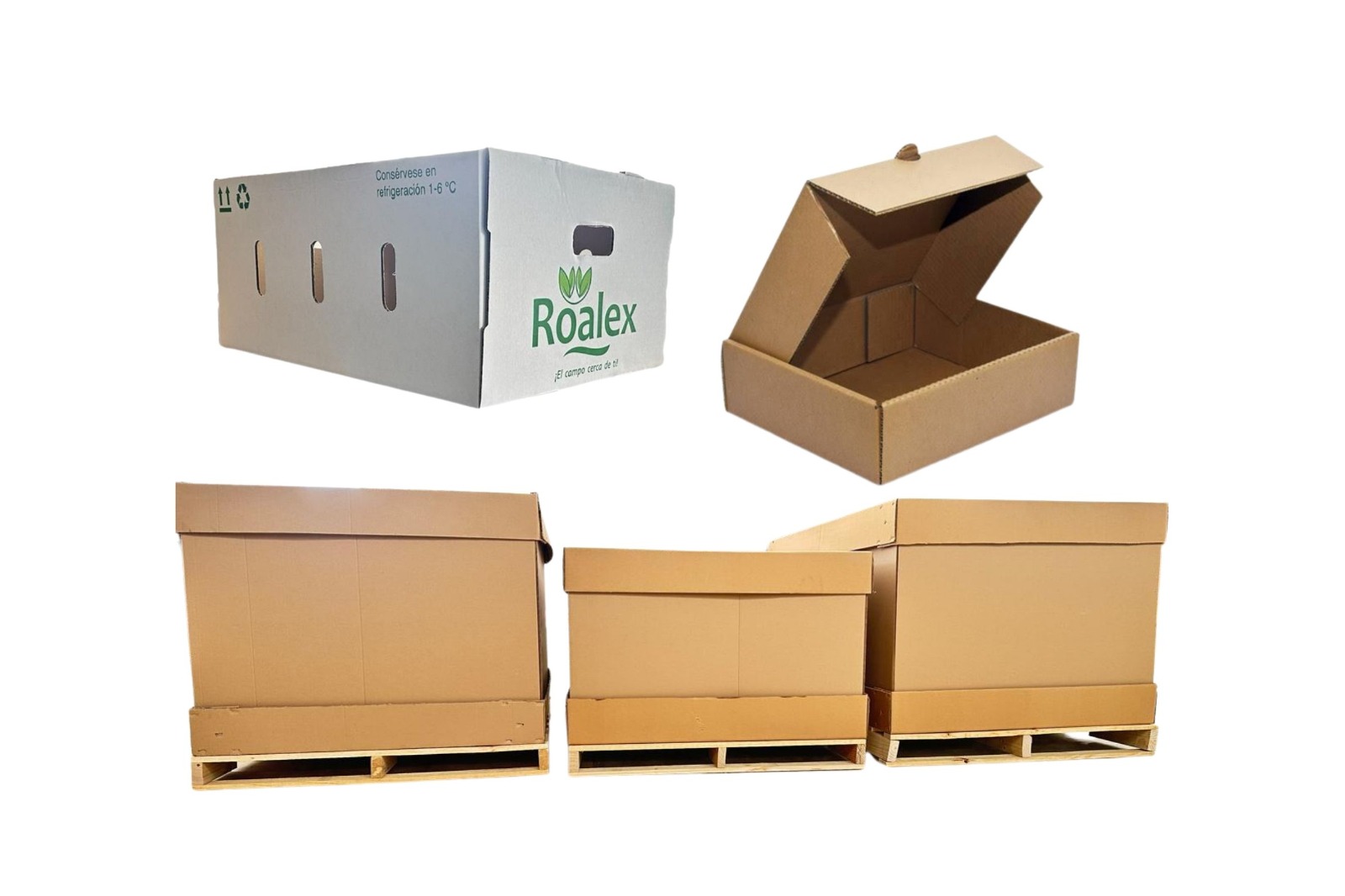 whatsapp image 2025 08 11 at 12.41.45 (1)