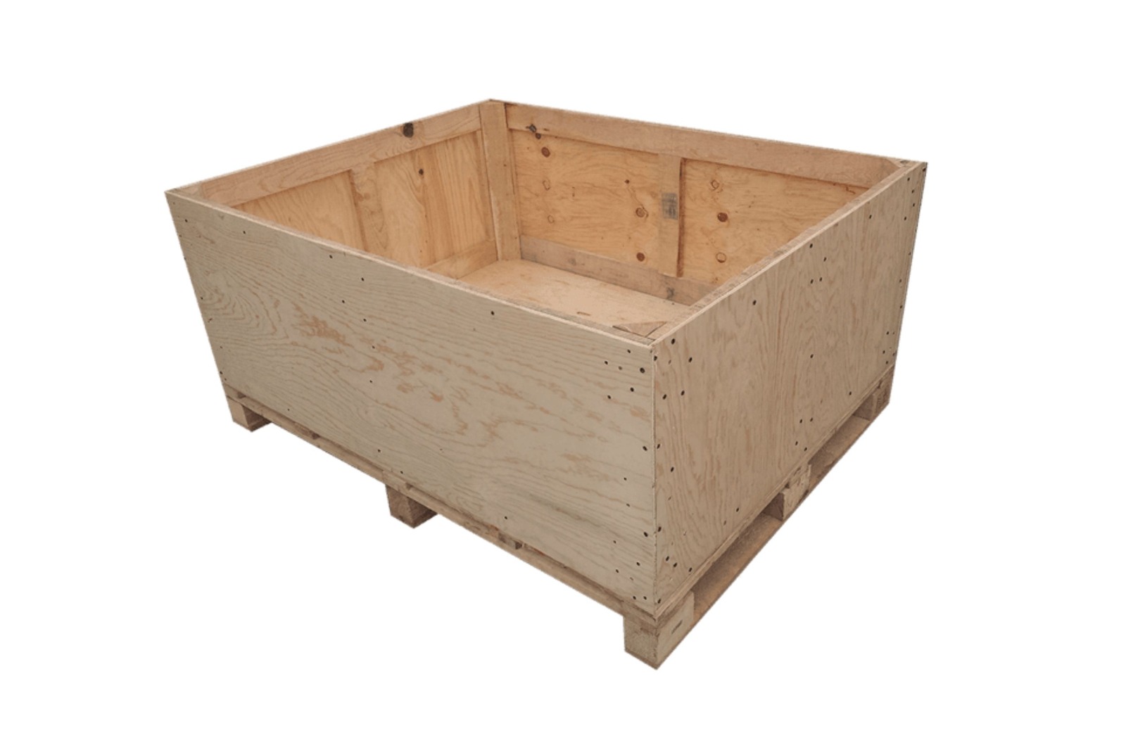 whatsapp image 2025 08 11 at 12.42.15